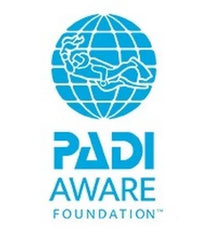 Donation to charity